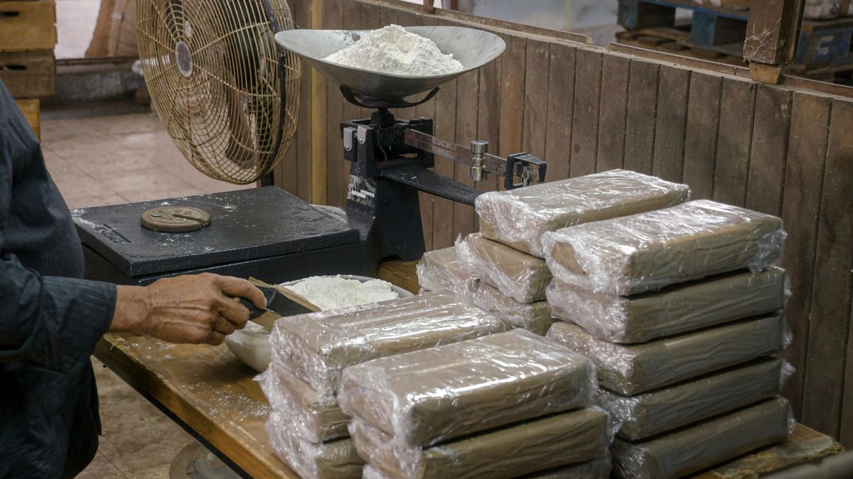 V lodním kontejneru v Le Havru celníci našli 2,7 tuny kokainu